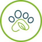Biodiversidad